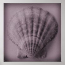 Soft Shell Print