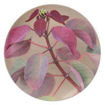 Soft Violet Plant Plate