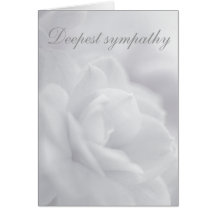 Soft white petals ... card