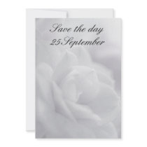 Soft white petals ... invitation
