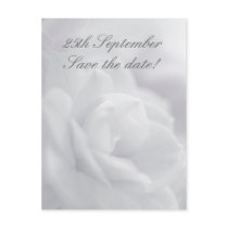 Soft white petals ... Save the date! postcards