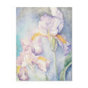 Softest Irises Floral Watercolour postcards