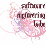 Software Engineering Babe photo sculptures