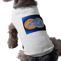 Solar Eclipse Pet Clothes