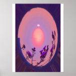 Solar Floral Poster
