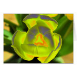 Solar Flower Greeting Card