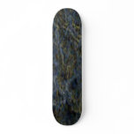 SOLARBOARD skateboards