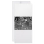 Solarised negative photograph of solo figure rack cards
