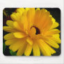 Soleil couchant! mousepads