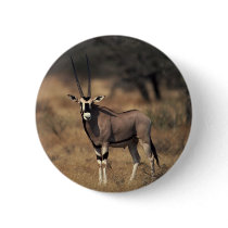 Solitary Antelope Pins