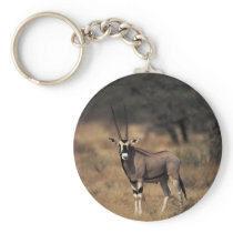 Solitary Antelope Key Chain