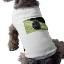 Solitary Chimp Dog Tee Shirt