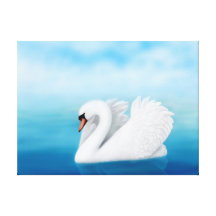 Solitary Mute Swan Wrapped Canvas Canvas Prints