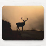Solitary Red Stag  Mousepad
