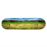 SOLITARY TREE  IN THE FIELD  yellow brown green skateboards