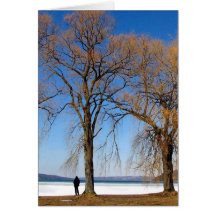 Solitude Greeting Cards