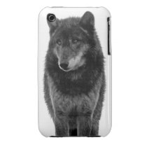 "Solitude" iPhone 3 Case