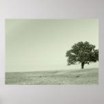 Solitude poster