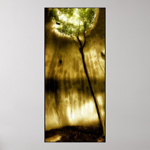Solitude Posters
