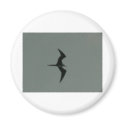 solo bird magnets