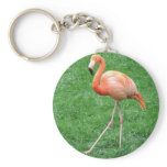 Solo Flamingo keychains