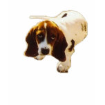 Solo Puppy_Look t-shirts