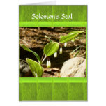 Solomon's Seal educational card