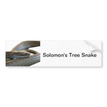 Solomon's Tree Snake Bumper Sticker