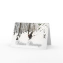 Solstice Blessings cards