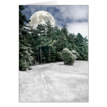 Solstice Full Moon Trail to the Woods Cards