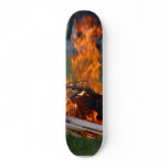 Solstice Party skateboards