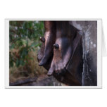 some believe greeting cards