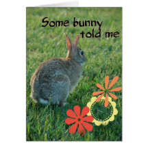 Some Bunny Birthday Card