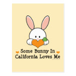 Some Bunny In California Loves Me Postcard