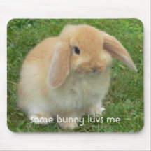 some bunny luvs me mouse mat