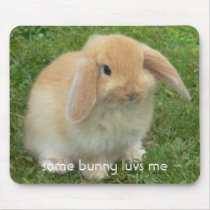 some bunny luvs me mouse mat