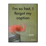 Some Captions Are Better Left Unread postcard