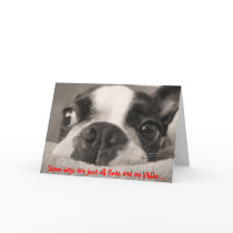 Some days are just all fleas and no kibble cards