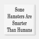 Some Hamsters Are Smarter Than Humans Magnet