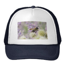 some other place hats