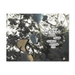(((((some things are just plain wrong))))) postcards