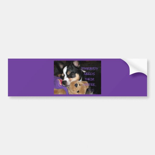 Somebody Needs Coffee Chihuahua Dog Bumper Sticker