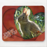 SomeBunny Loves You! Mouse Pads