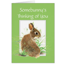 Somebunny's Thinking of You, Rabbit, Bunny Greeting Cards