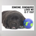 Someone, Somewhere Poster