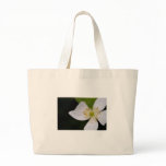 something good bags