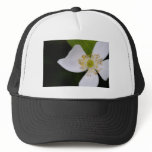 something good hats