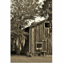 Something Old Photo Cut Out