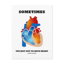 Sometimes You Just Got To Have Heart (Anatomy)