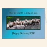 Son Birthday with otters cards